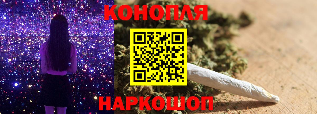 Марихуана план Губаха